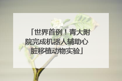 世界首例！青大附院完成机器人辅助心脏移植动物实验